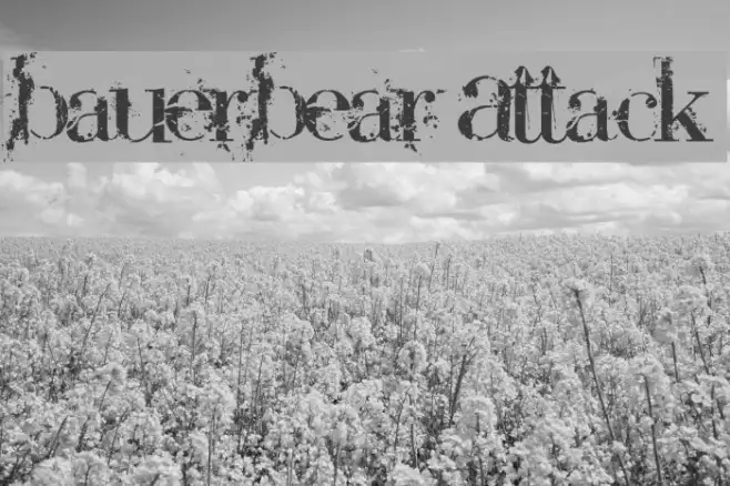 BauerBear Attack Example 3