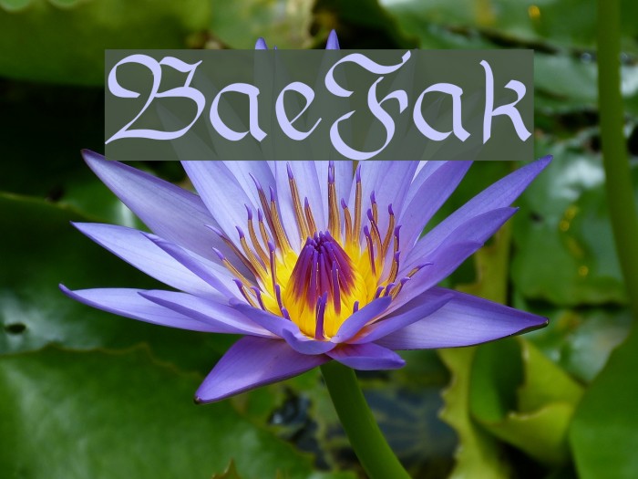 BauernFraktur Font examples