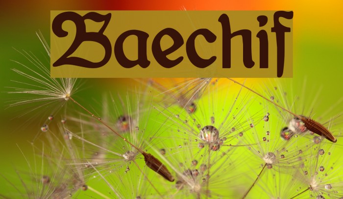 Bauernschrift Font examples