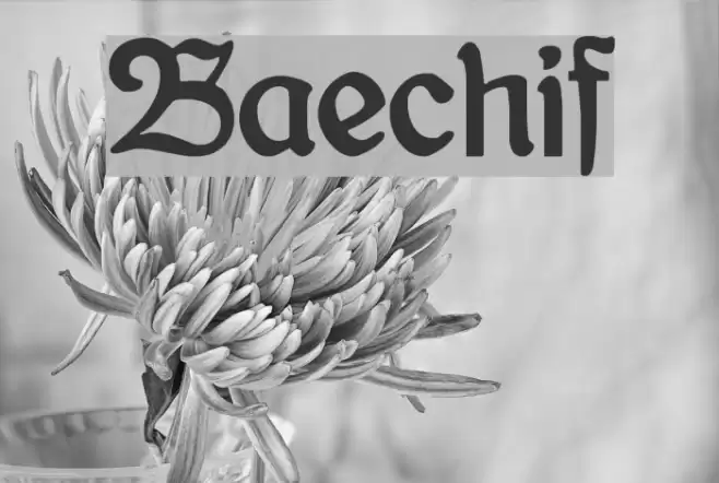 Bauernschrift Font examples