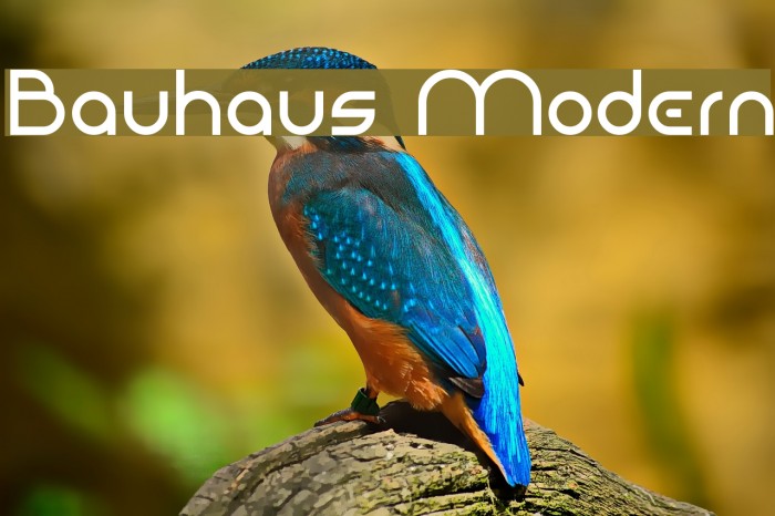 Bauhaus Modern Font examples