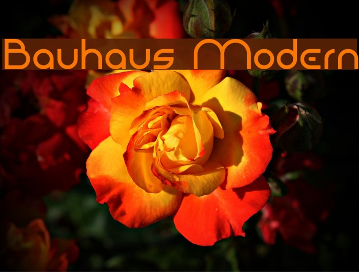 Bauhaus Modern Font examples