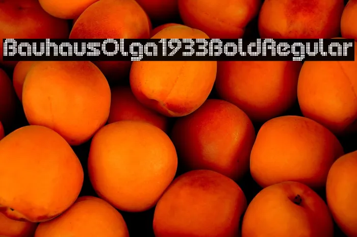 Bauhaus Olga 1933 Bold Regular Example 3