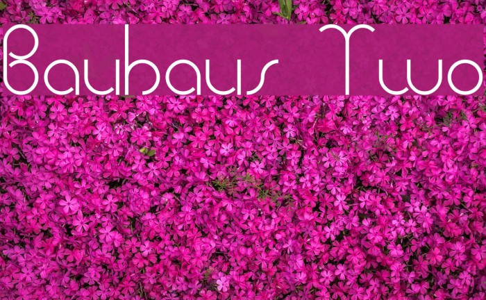 Bauhaus Two Font examples