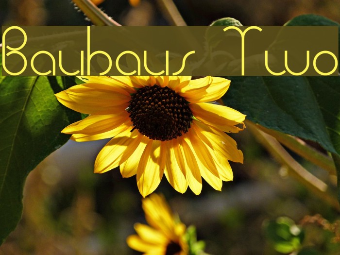 Bauhaus Two Font examples
