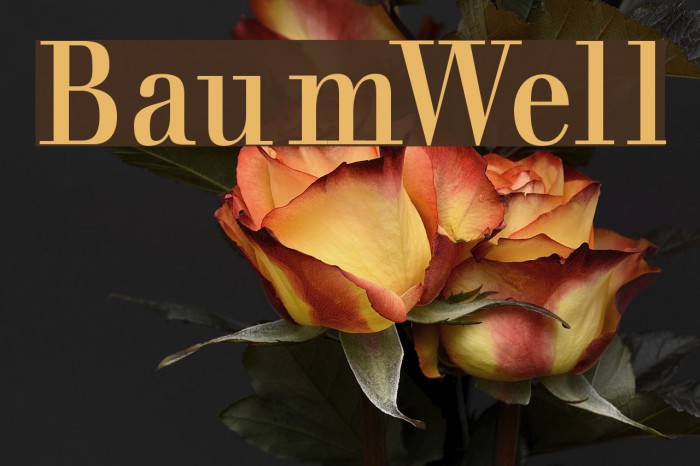 BaumWell Font examples