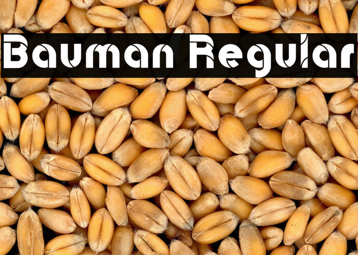 Bauman Regular Example 1