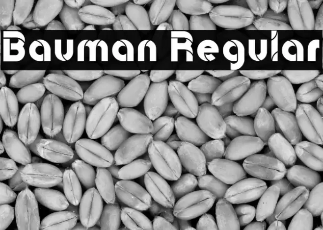 Bauman Regular Font examples