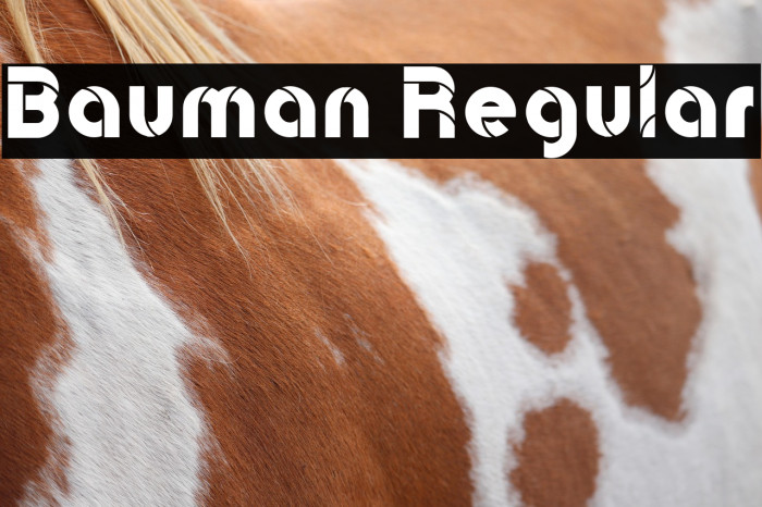 Bauman Regular Example 2