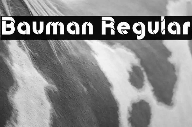 Bauman Regular Font examples