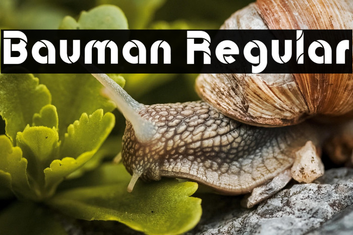 Bauman Regular Example 3