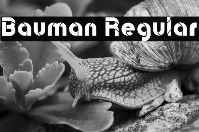 Bauman Regular Font examples