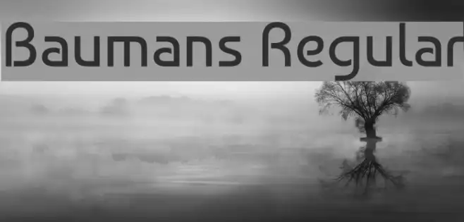 Baumans Regular Example 1