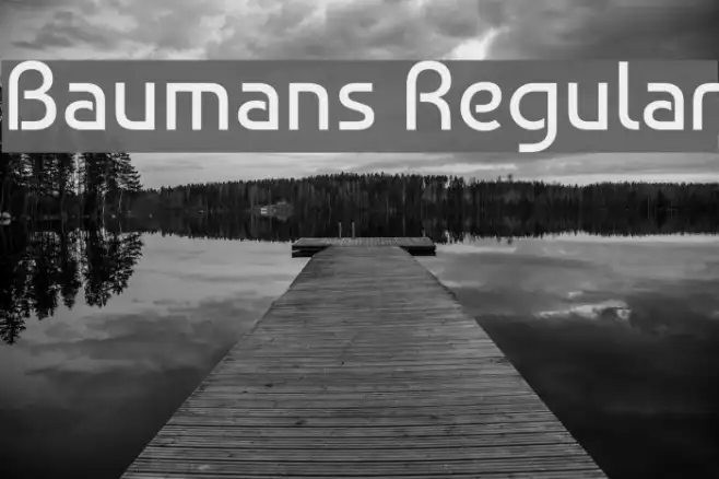 Baumans Regular Example 2