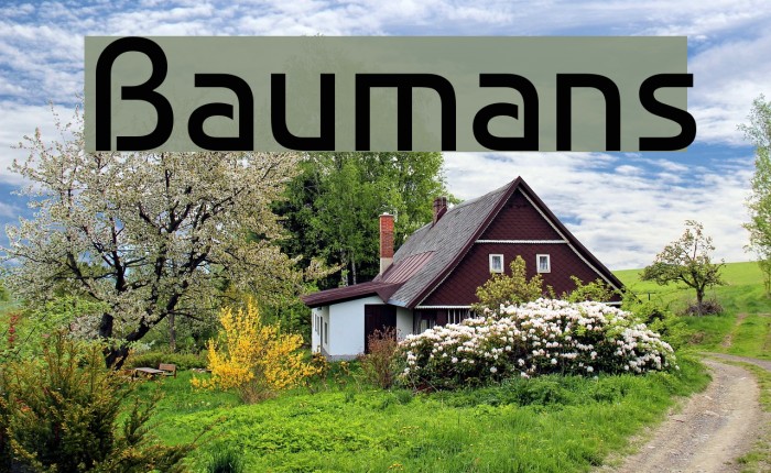 Baumans Font examples