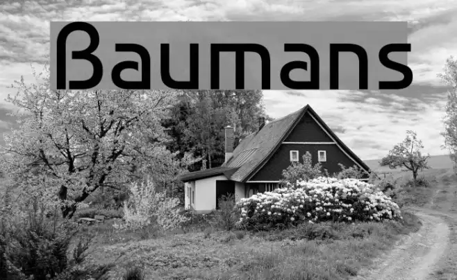 Baumans Example 1