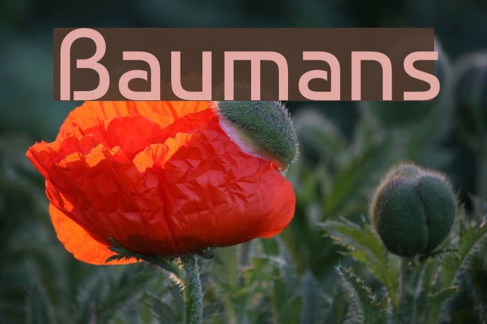 Baumans Font examples