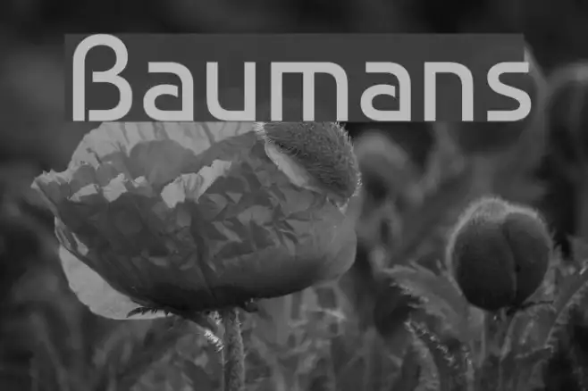Baumans Example 2
