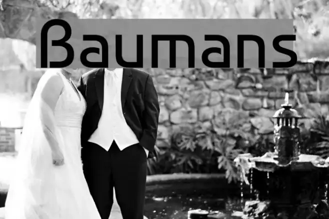 Baumans Example 3