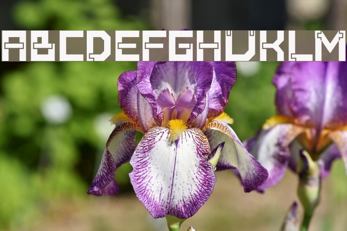 Baumarkt Bold Font examples