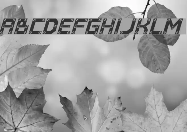 Baumarkt Italic フォント examples