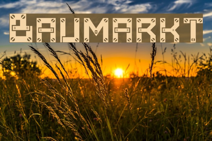 Baumarkt Font examples