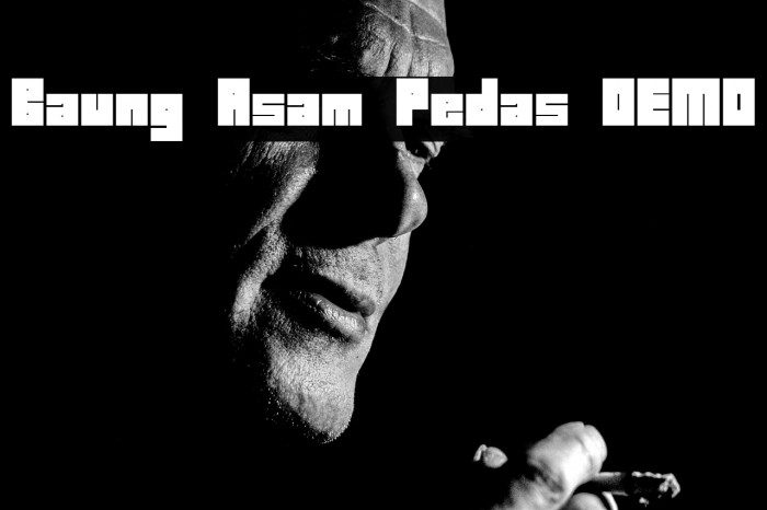 Baung Asam Pedas DEMO Example 2