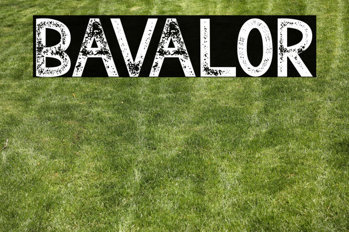 Bavalor Example 1