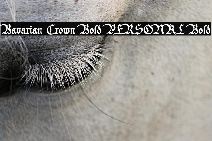 Bavarian Crown Bold PERSONAL Bold Example 3