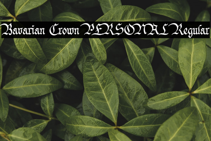 Bavarian Crown PERSONAL Regular Example 1