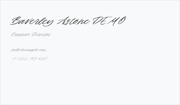 Baverley Astone DEMO Business Card