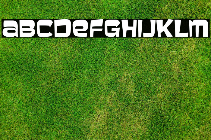 Baveuse-Regular Example 1