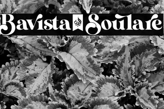 Bavista_Soulare Font examples