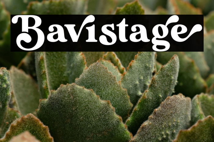 Bavistage Example 1