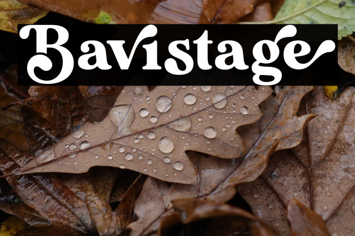 Bavistage Example 2