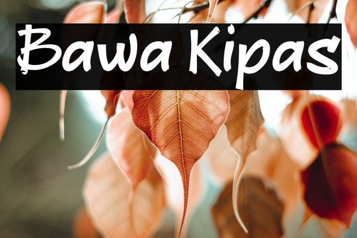 Bawa Kipas Example 3