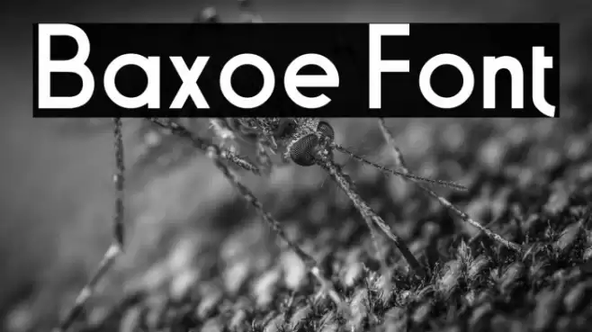 Baxoe Font examples