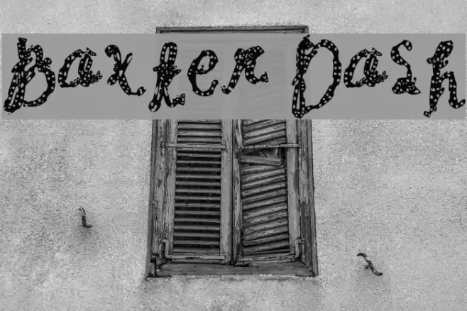 Baxter Dash Font examples