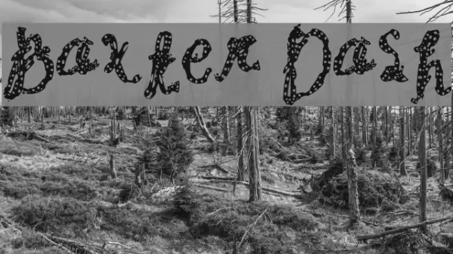 Baxter Dash Font examples