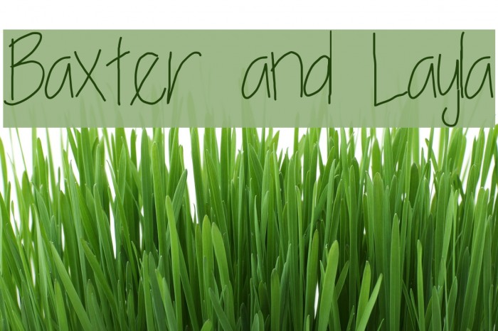 Baxter and Layla Шрифта examples