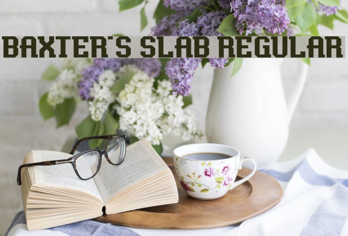 Baxter's Slab Regular Font examples