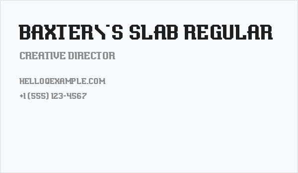 Baxter's Slab Regular Business Card