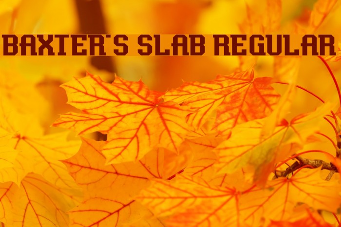 Baxter's Slab Regular Schriftart examples
