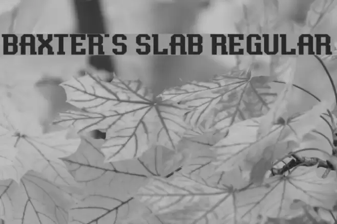 Baxter's Slab Regular Schriftart examples