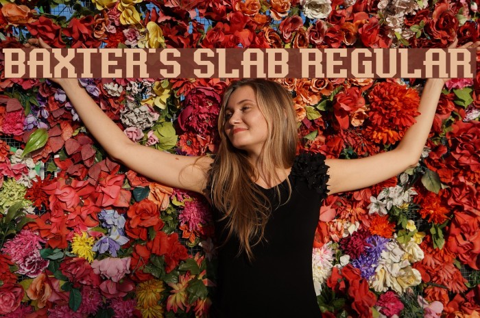 Baxter's Slab Regular Schriftart examples