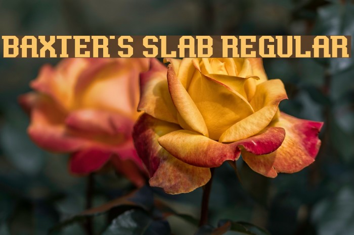 Baxter's Slab Regular Schriftart examples