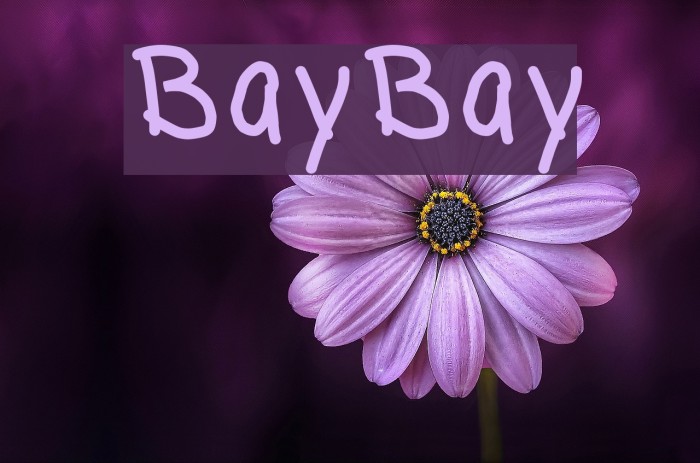 BayBay Font examples