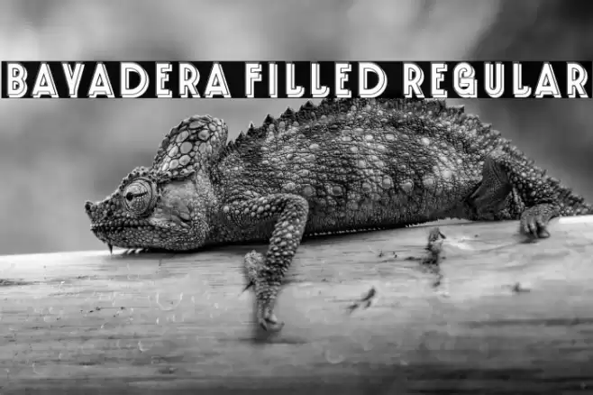 Bayadera Filled Regular Font examples