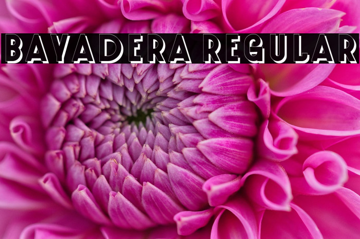 Bayadera Regular Example 1