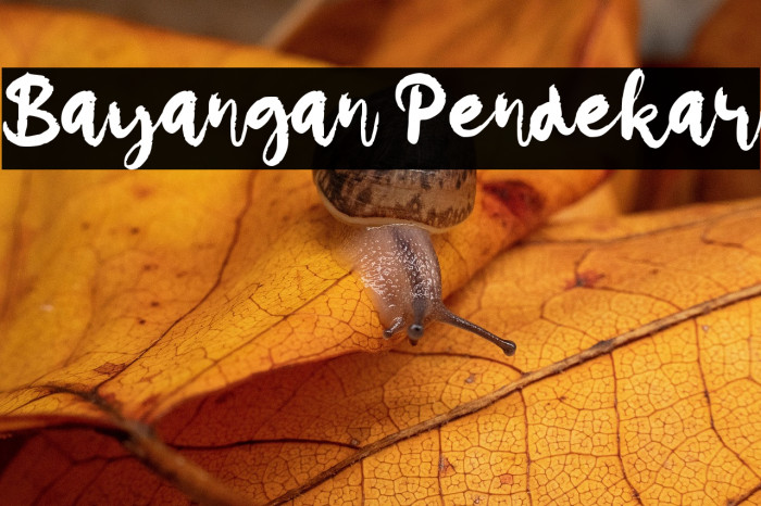 Bayangan Pendekar Example 3